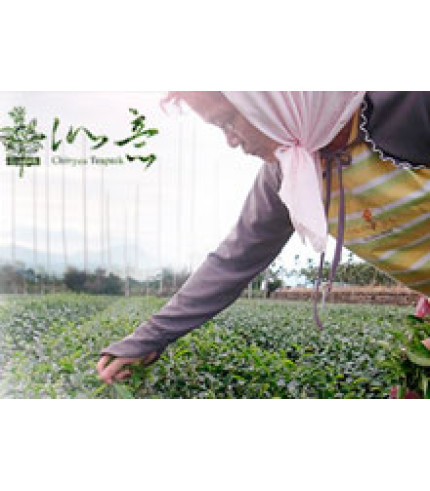 Улун з Персиком (PEACH OOLONG TEA)